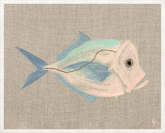 43,18 × 53,34 cm – Enmarcado con cristal