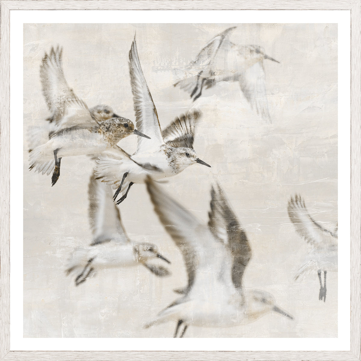 Sand Piper Detail I wall art featuring flying sandpipers in soft neutral tones