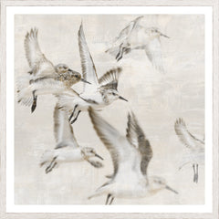 25.25 × 25.25 in