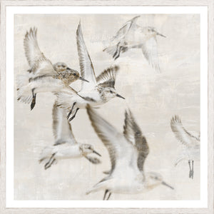Sand Piper Detail I wall art featuring flying sandpipers in soft neutral tones