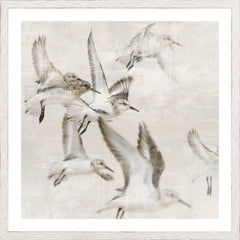 17 × 17 in