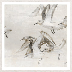 25.25 × 25.25 in