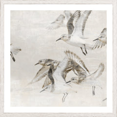 17 × 17 in