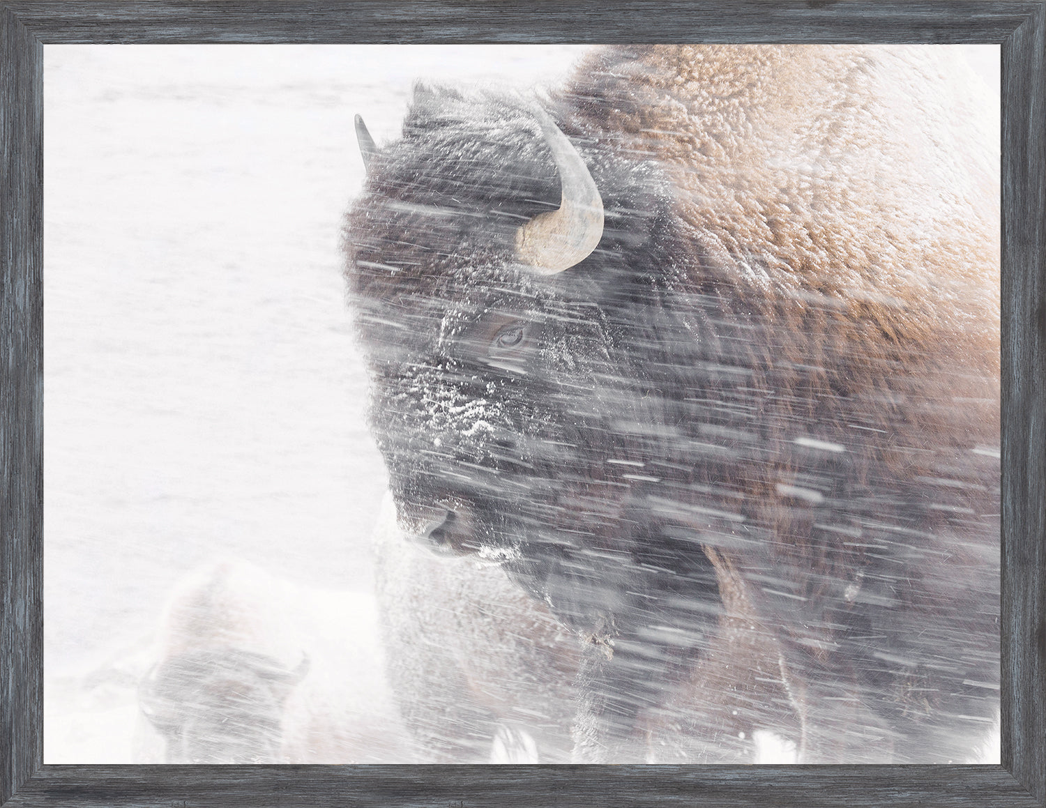 Snow Squall — nature and landscape fine art print in neutral tones at Laurie Yapp Home