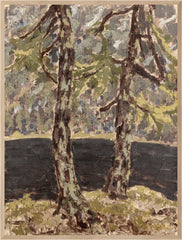 31.5 × 41.5 in