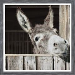 20 × 20 in – Grey Frame
