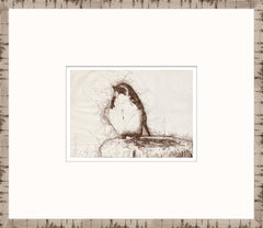 15 × 13 pulg – Enmarcado en cristal