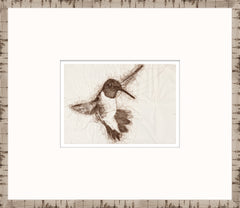 15 × 13 pulg. – Enmarcado en cristal