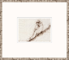 15 × 13 in – Glass Framed