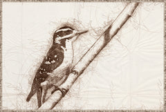 37 × 25 in – Canvas On Board