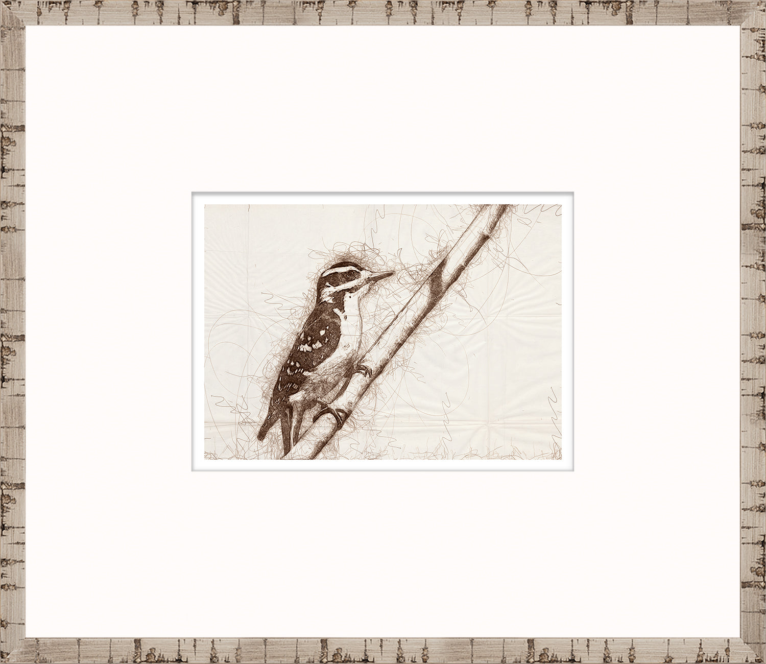 Nature Sketch – Woodpecker I — nature and landscape fine art print in neutral tones at Laurie Yapp Home