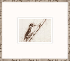 15 × 13 in – Glass Framed