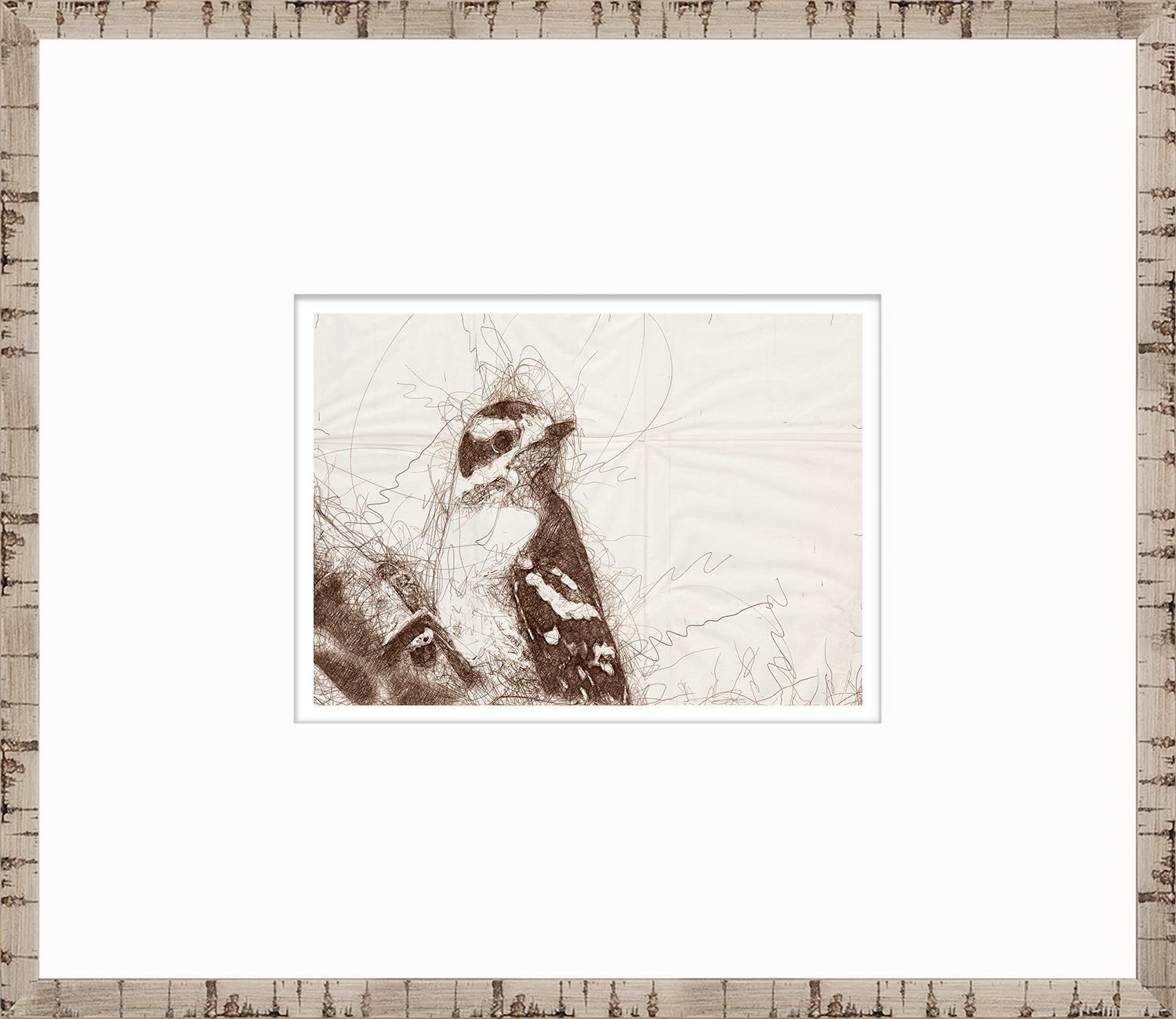 Nature Sketch – Woodpecker II — nature and landscape fine art print in neutral tones at Laurie Yapp Home