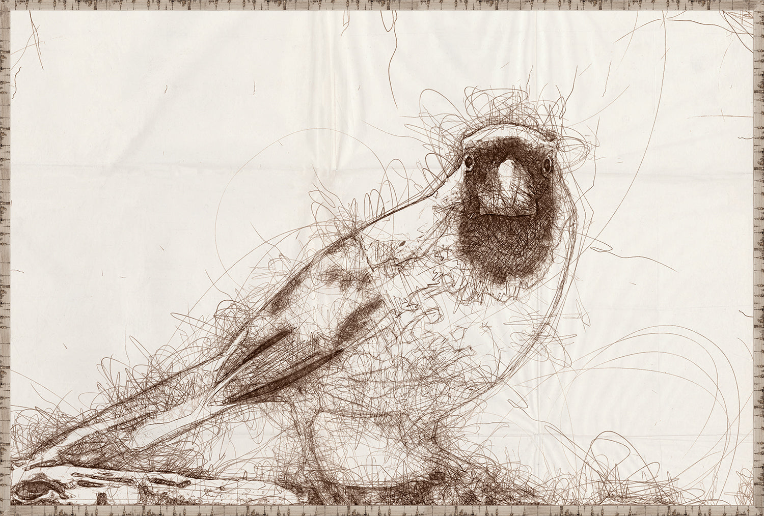 Nature Sketch Cardinal Pair Bundle