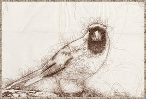 Nature Sketch Cardinal Pair Bundle — nature and landscape fine art print in warm tones at Laurie Yapp Home