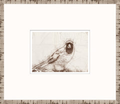 15 × 13 in – Glass Framed