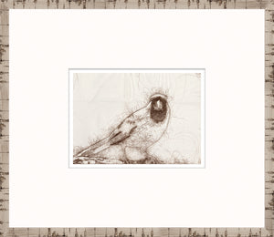 Nature Sketch – Cardinal I — nature and landscape fine art print shown from another angle