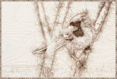 37 × 25 in – Canvas On Board
