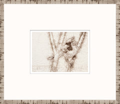 15 × 13 in – Glass Framed