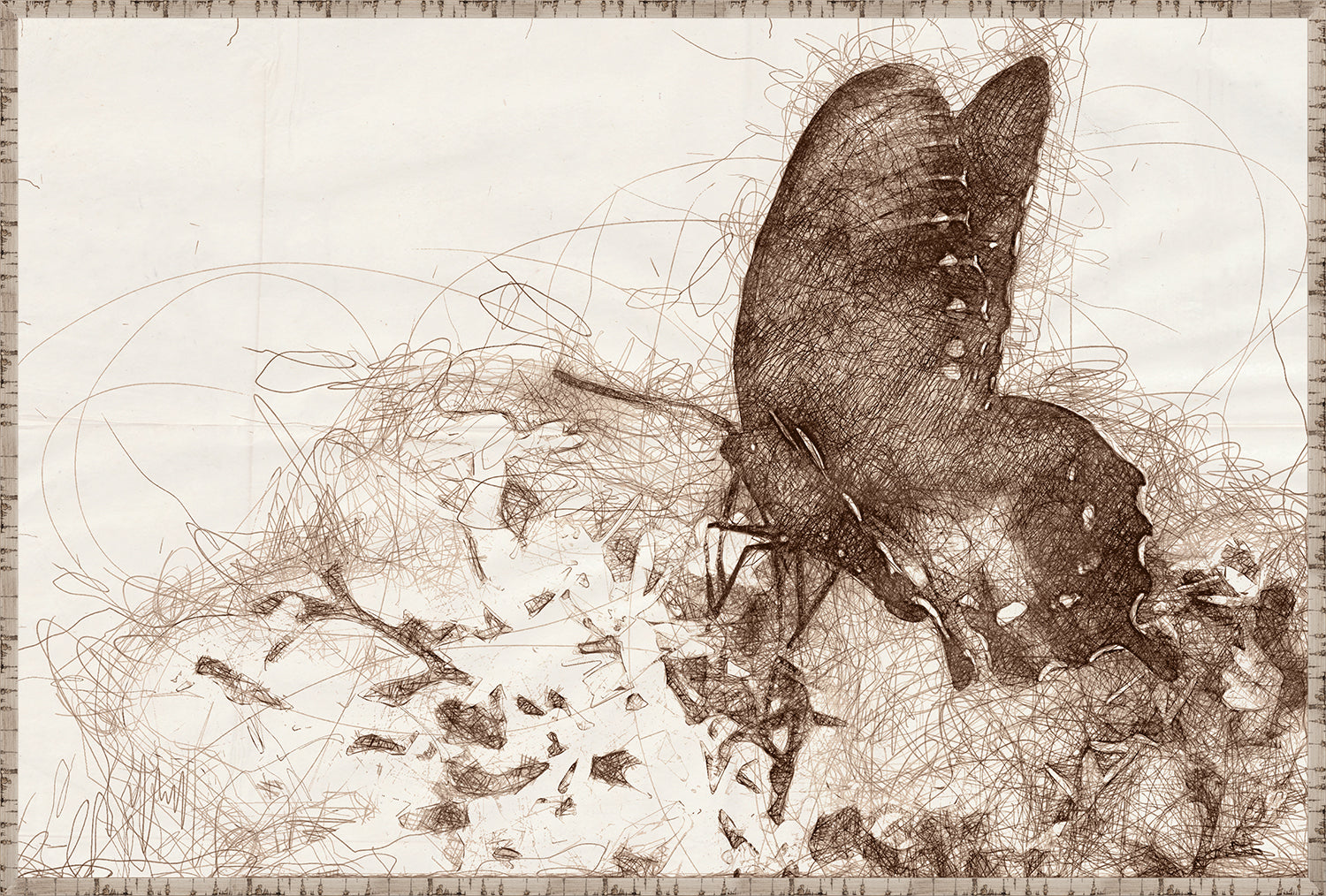Nature Sketch Insect Quartet Bundle