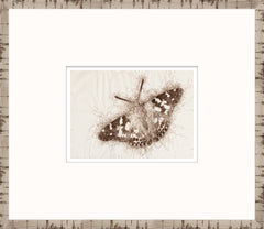 15 × 13 pulgadas – Marco de cristal