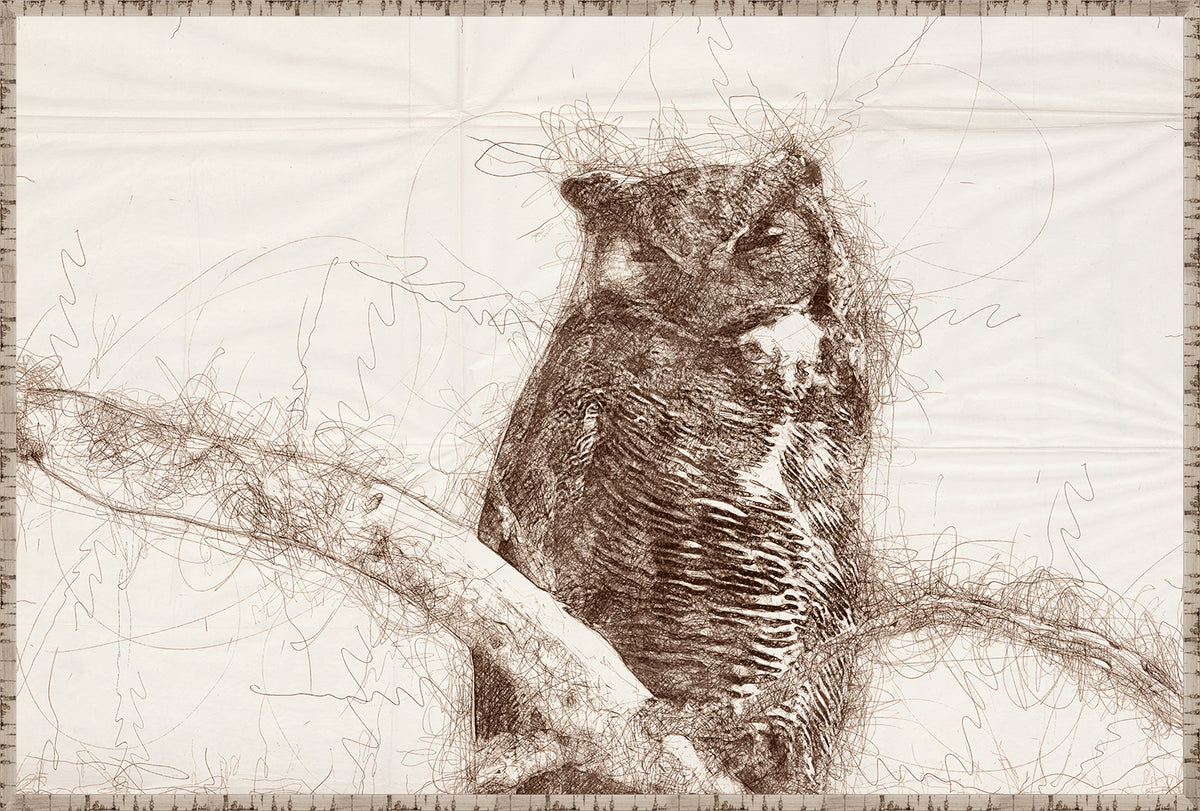 Nature Sketch – Owl wall art featuring a detailed brown sketch of an owl perched on a branch.