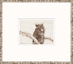 15 × 13 in – Enmarcado en cristal