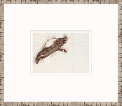 15 × 13 pulgadas – Enmarcado en cristal