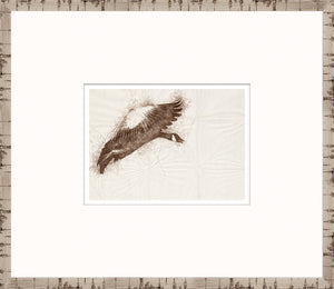 Nature Sketch – Goose in Flight — nature and landscape fine art print shown from another angle