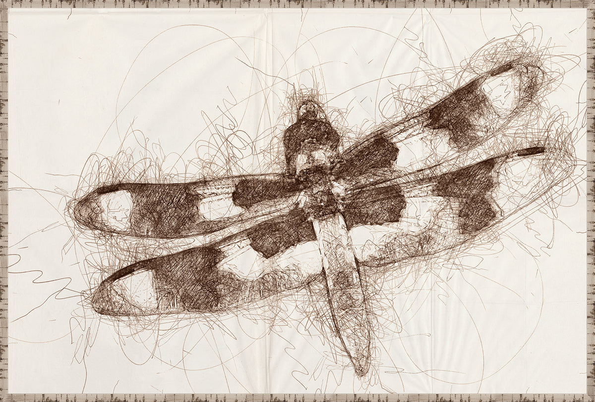 Nature Sketch Insect Quartet Bundle — nature and landscape fine art print shown from another angle