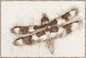 Nature Sketch Insect Quartet Bundle — nature and landscape fine art print shown from another angle
