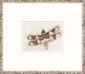 Nature Sketch – Dragonfly I — nature and landscape fine art print shown from another angle
