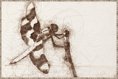 37 × 25 in – Canvas On Board