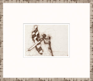 Nature Sketch – Dragonfly II — nature and landscape fine art print shown from another angle