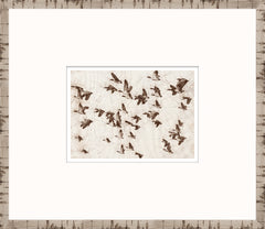 15 × 13 in – Glass Framed