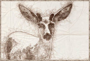 Nature Sketch Deer Close Up
