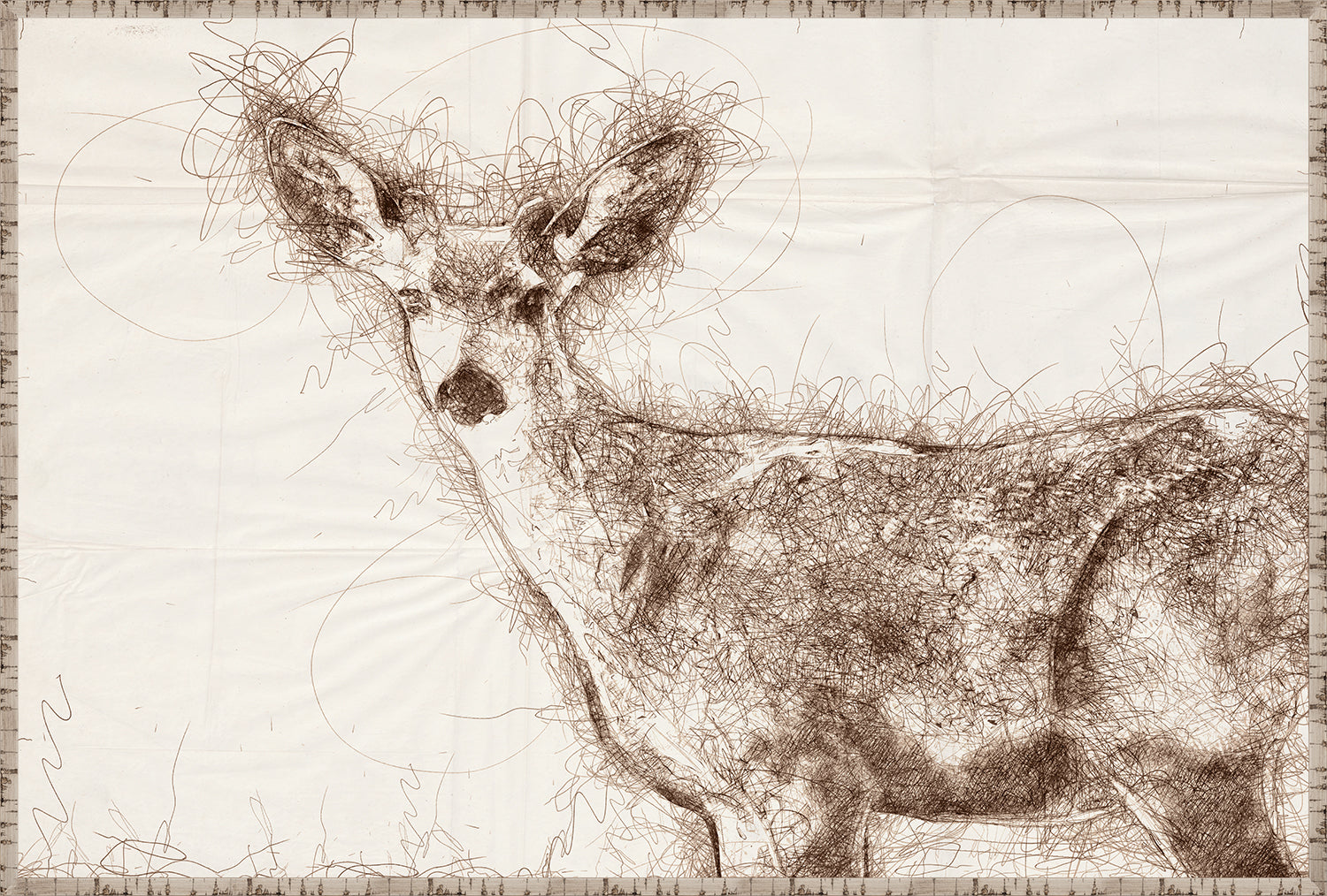 Nature Sketch Doe