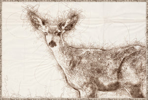 Nature Sketch Doe