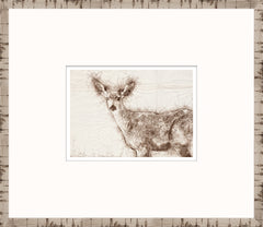 15 × 13 pulg. – Enmarcado en cristal