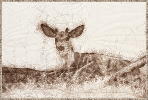 Nature Sketch – At Rest, a brown sketched deer resting among abstract lines on a light background.