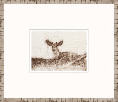 15 × 13 in – Glass Framed