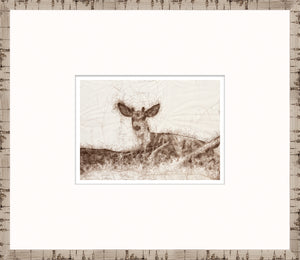 Nature Sketch – At Rest — nature and landscape fine art print in neutral tones at Laurie Yapp Home