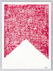 21,5 × 28,5 pulgadas