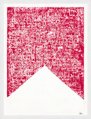 13 × 17 pulg.