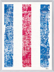 21.5 × 28.5 in
