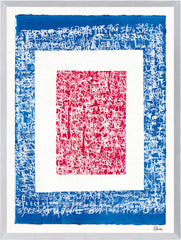 21.5 × 28.5 in
