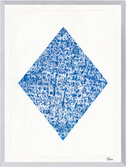 21.5 × 28.5 pulgadas