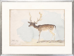 21 × 16 pulg