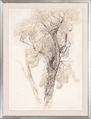 16 × 21 pulgadas