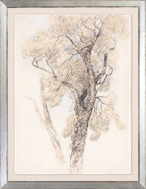 Collection 24 Watercolour Tree Study C 1889 framed art print